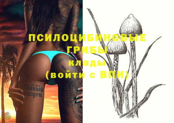 ПСИЛОЦИБИНОВЫЕ ГРИБЫ Абинск